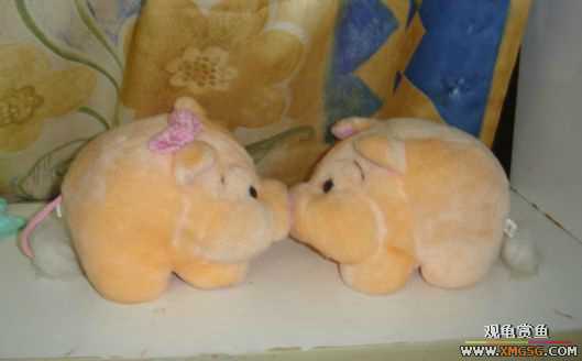 [ԭ��]���������ĵ�~