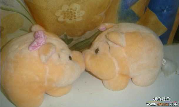 [ԭ��]���������ĵ�~