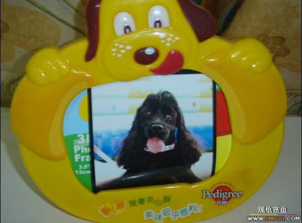 [ԭ��]���������ĵ�~