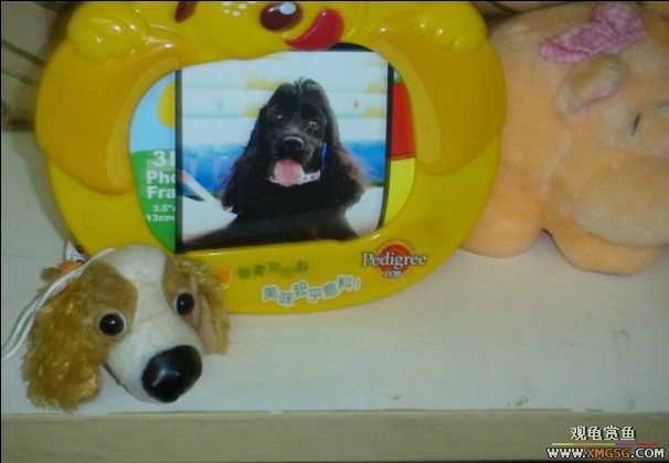 [ԭ��]���������ĵ�~