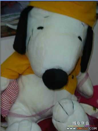 [ԭ��]���������ĵ�~