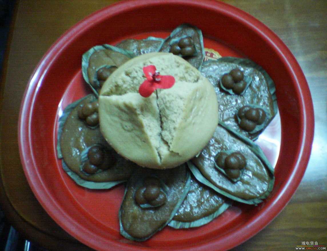 MM�����ݰݵĶ���