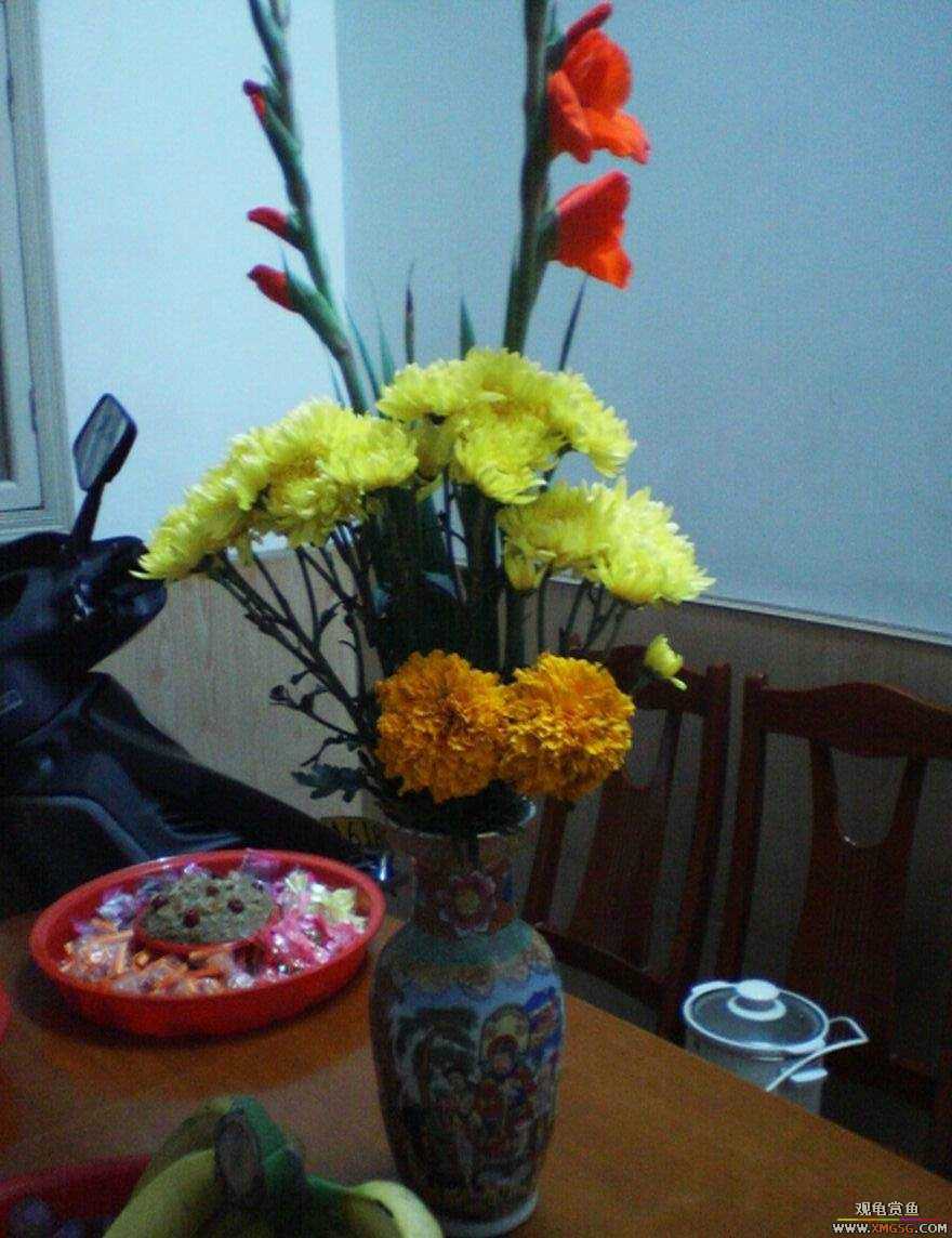 MM�����ݰݵĶ���