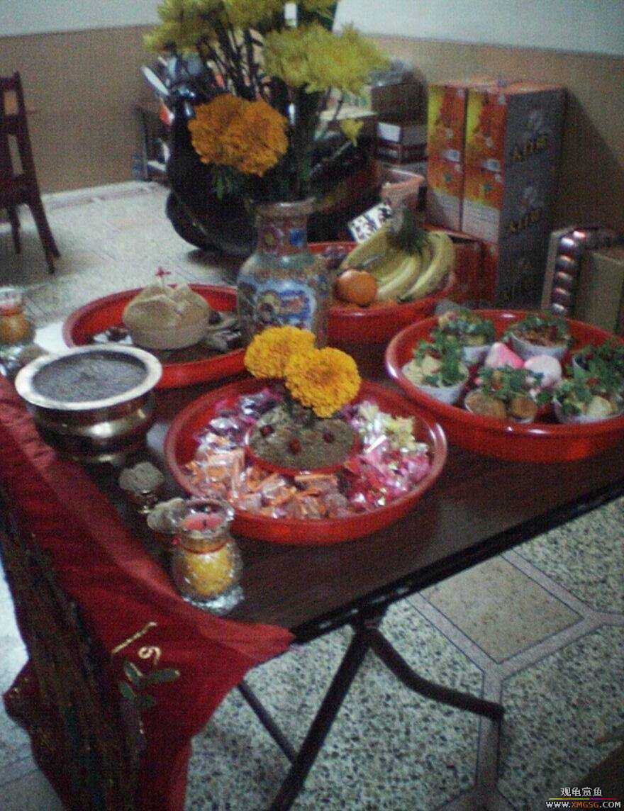 MM�����ݰݵĶ���