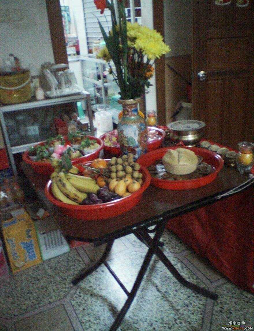 MM�����ݰݵĶ���