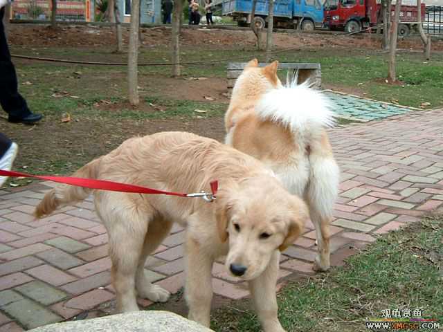 2007-02-20���� ֮���Ѿۻ�