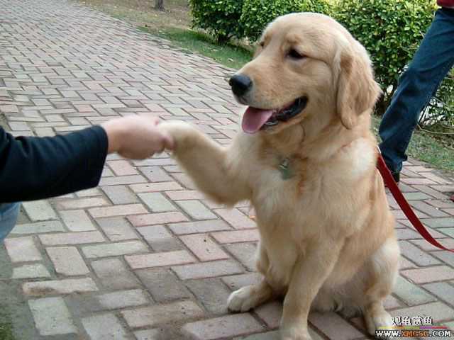 2007-02-20���� ֮���Ѿۻ�