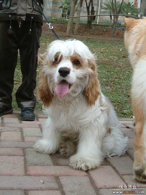 2007-02-20���� ֮���Ѿۻ�