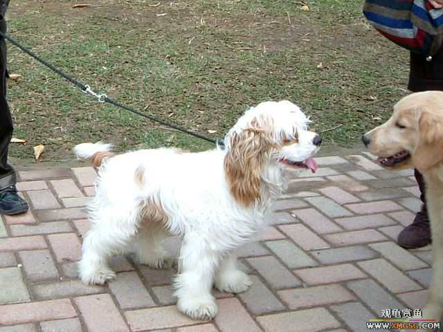 2007-02-20���� ֮���Ѿۻ�