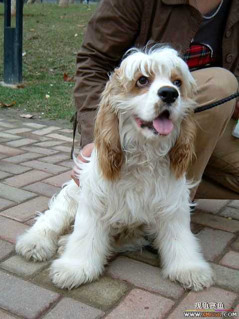 2007-02-20���� ֮���Ѿۻ�