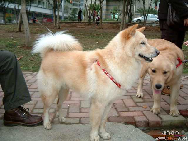 2007-02-20���� ֮���Ѿۻ�