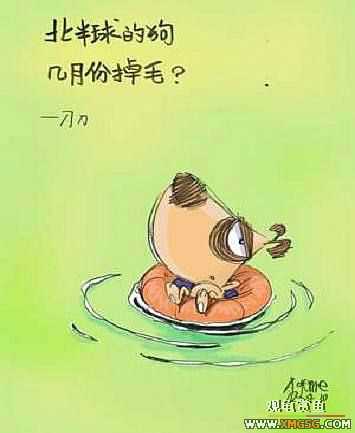 [�Ƽ�]ϲ���ĵ���