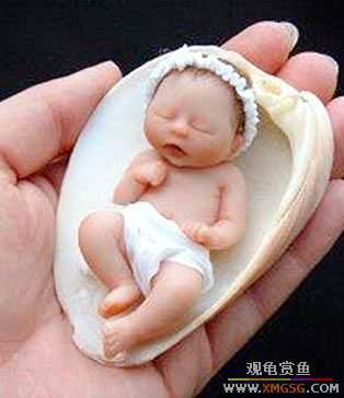 [��ͼ]��������ĳ��ɰ�����