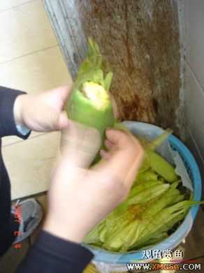 07.02.04��̳�����տ���