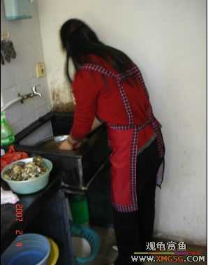 07.02.04��̳�����տ���