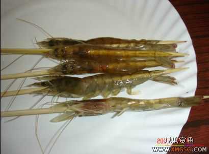 07.02.04��̳�����տ���