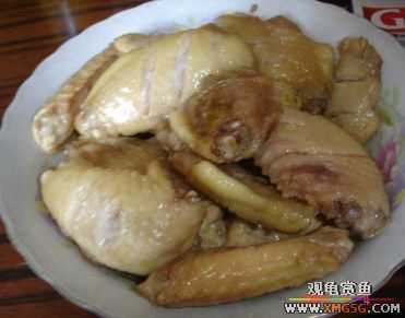 07.02.04��̳�����տ���