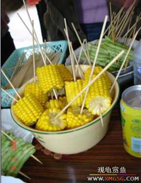 07.02.04��̳�����տ���