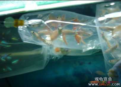 07.02.04��̳�����տ���