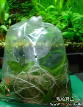 07.02.04��̳�����տ���