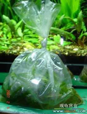 07.02.04��̳�����տ���