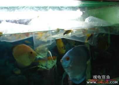 07.02.04��̳�����տ���