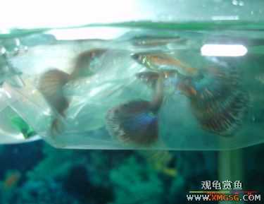 07.02.04��̳�����տ���