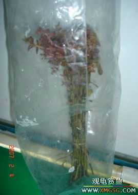 07.02.04��̳�����տ���