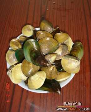 07.02.04��̳�����տ���