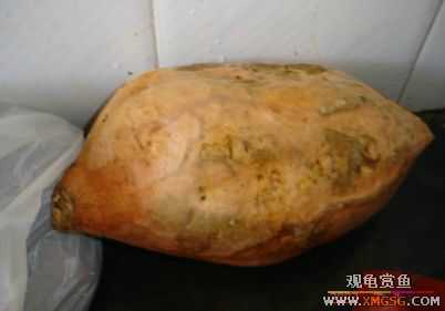 07.02.04��̳�����տ���