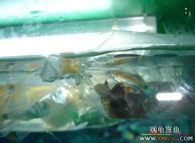 07.02.04��̳�����տ���