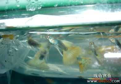 07.02.04��̳�����տ���