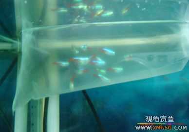 07.02.04��̳�����տ���