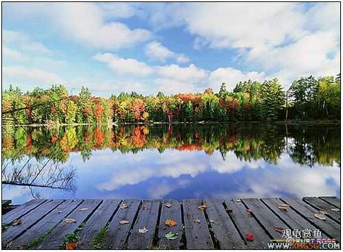 �����ĸо�