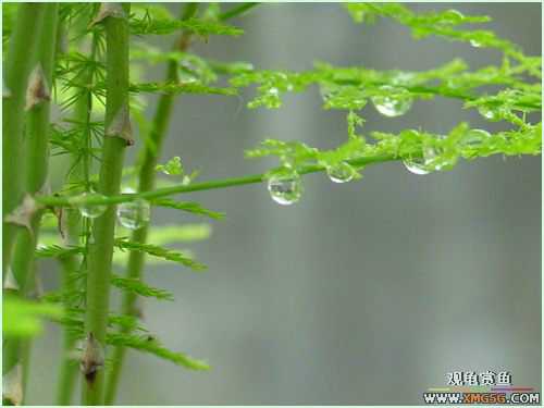 �����ĸо�