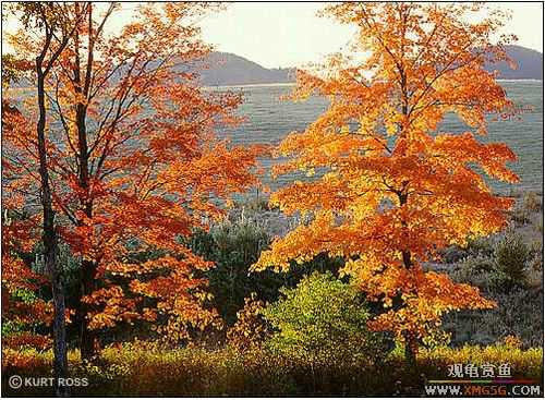 �����ĸо�