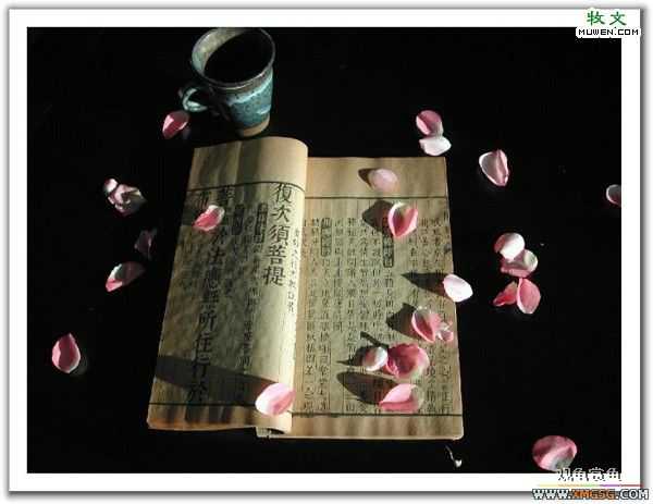 �����ĸо�