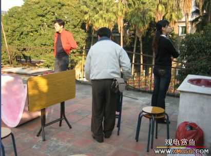 �����տ���(�ٵ���ͼƬ)