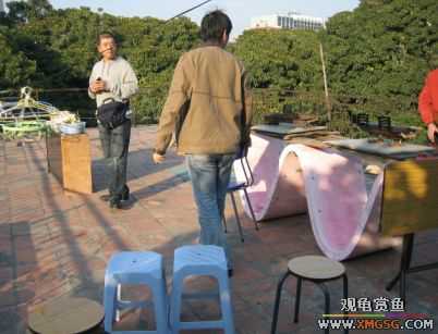 �����տ���(�ٵ���ͼƬ)