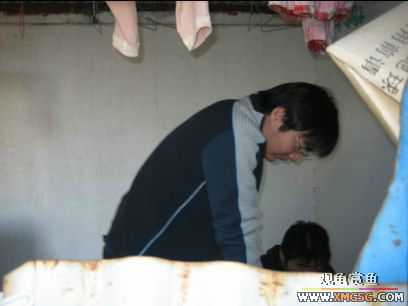 �����տ���(�ٵ���ͼƬ)