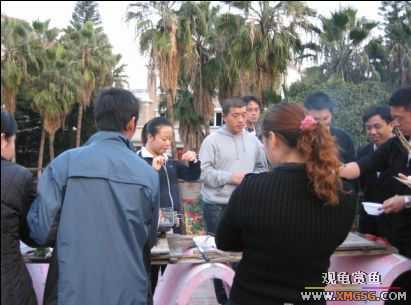 �����տ���(�ٵ���ͼƬ)