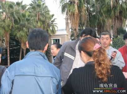 �����տ���(�ٵ���ͼƬ)