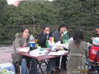 �����տ���(�ٵ���ͼƬ)