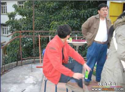 �����տ���(�ٵ���ͼƬ)