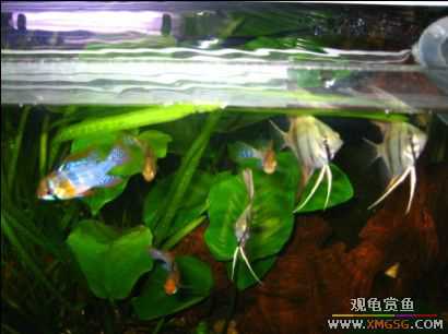 �����տ���(�ٵ���ͼƬ)