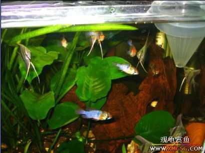 �����տ���(�ٵ���ͼƬ)