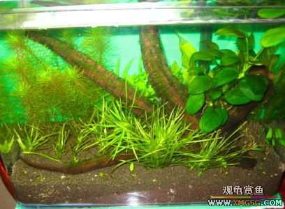 �����տ���(�ٵ���ͼƬ)