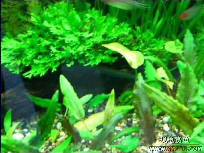 �����տ���(�ٵ���ͼƬ)