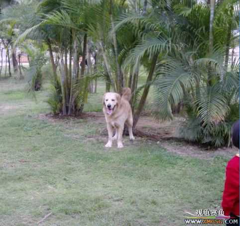 [ԭ��]���������ˣ���ҳ����ŷ���~