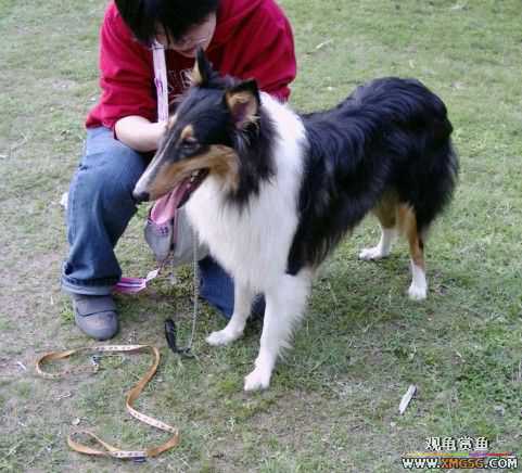 [ԭ��]���������ˣ���ҳ����ŷ���~